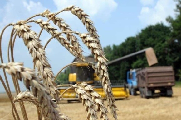 Фермери-ФОПи зможуть отримати компенсацію за сплачений ЄСВ, — Милованов фото, ілюстрація