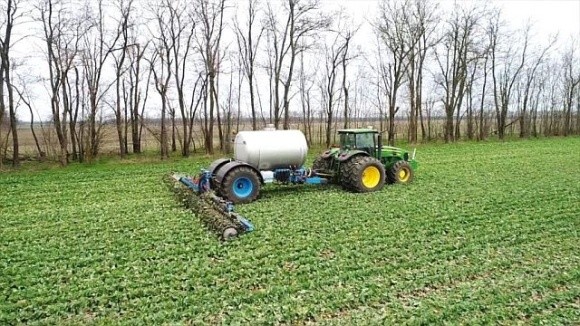 Як різні форми азоту в КАС впливають на рослину фото, ілюстрація