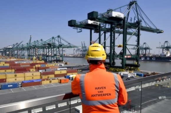 Порт Антверпена визнано європейським центром незаконної торгівлі пестицидами фото, ілюстрація