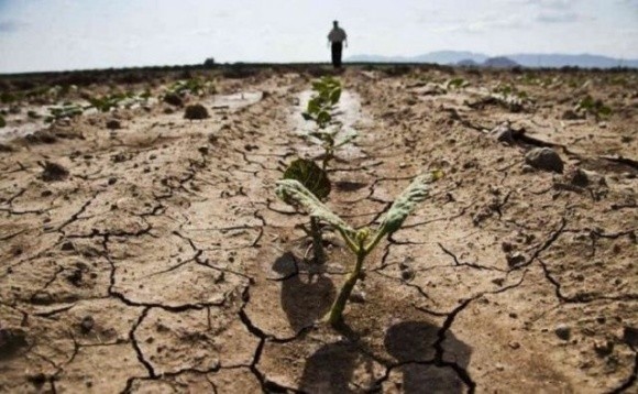 У Франції можуть ввести обмеження на споживання води для фермерів фото, ілюстрація