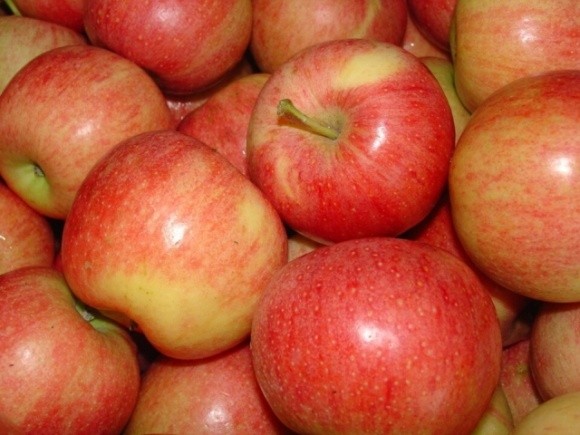 Українська «Гала» спізнюється на два тижні, але ціни на яблуко вже низькі  фото, ілюстрація