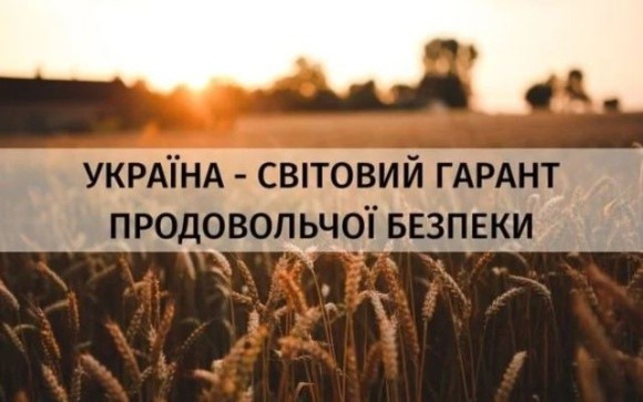 До України як гаранта продовольчої безпеки мають застосовуватися міжнародні норми безпеки, — Тарас Висоцький фото, ілюстрація