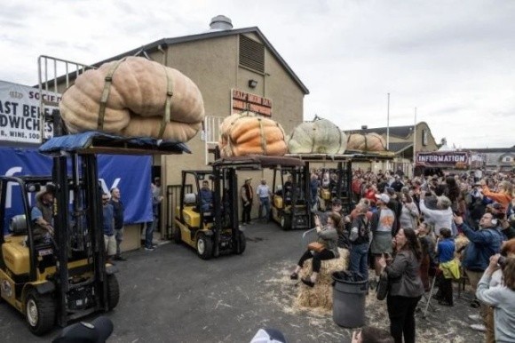 Фермер з Міннесоти виростив гарбуз вагою 1246 кг фото, ілюстрація