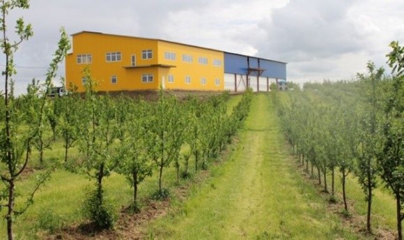На Львівщині фермер вирощує персики та вишні за допомогою власної метеостанції та інтернет-технологій фото, ілюстрація