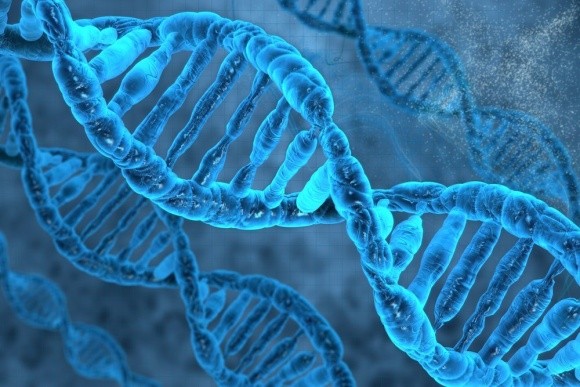 Даст ли технология CRISPR-Cas старт новой «зеленой революции»? фото, иллюстрация