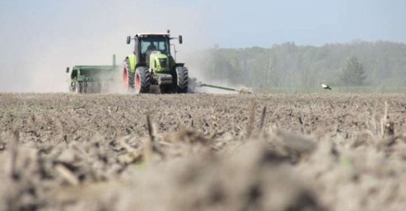 В Україні посіяли майже 4,5 мільйона гектарів ярих зернових фото, ілюстрація