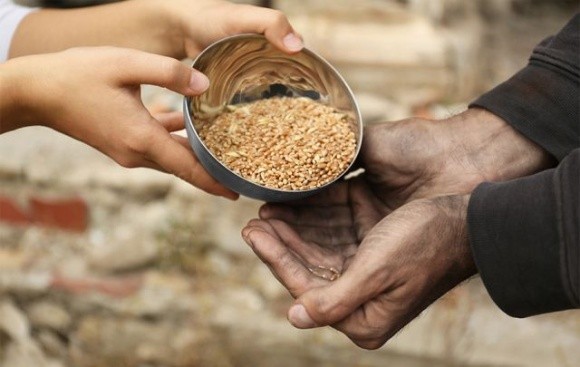 Обмежуючи експорт, країни поглиблюють глобальну продовольчу кризу фото, ілюстрація