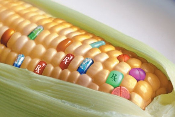  ГМО — наукове досягнення, якого людство потребує, — ФАО фото, ілюстрація
