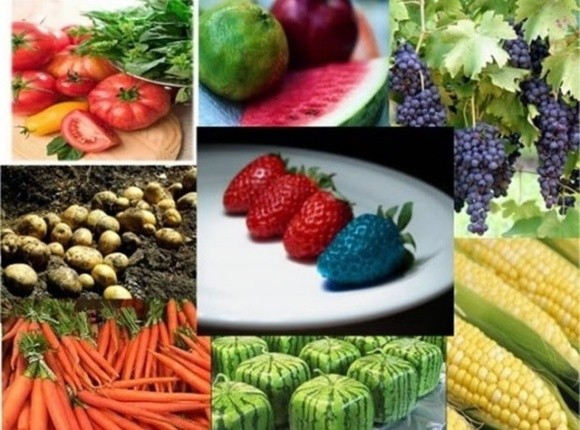 Шість міфів про ГМО фото, ілюстрація