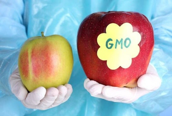 За порушення правил поводження з ГМО будуть штрафувати фото, ілюстрація