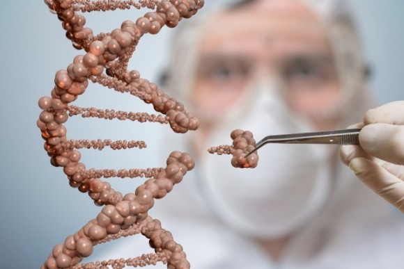 У Британії збираються легалізувати редагування ДНК заради врожаїв  фото, ілюстрація