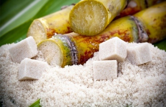 Гнідавський цукрозавод розпочинає виготовляти цукор із тростини фото, ілюстрація