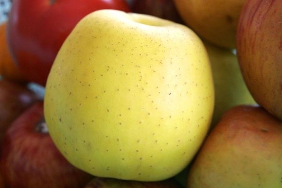 Узбекистан в січні віддав перевагу яблукам з України фото, ілюстрація