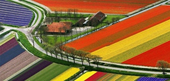Названы самые дорогие сельскохозяйственные земли в ЕС фото, иллюстрация