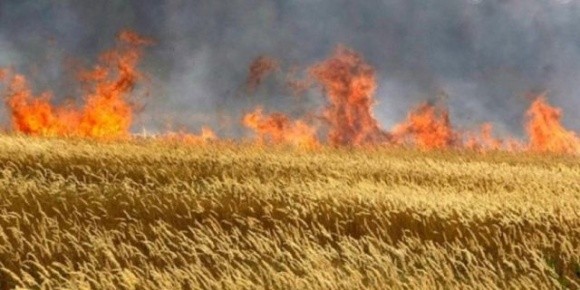 Фермерів Херсонщини закликали палити свої поля фото, ілюстрація
