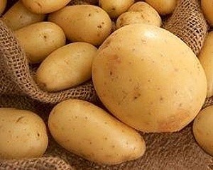 Світовий ринок продуктів переробки картоплі зростає на 5-10% щороку фото, ілюстрація