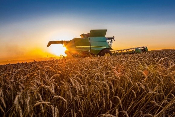 Аграрний союз України пропонує прирівняти годувальників держави до її захисників фото, ілюстрація
