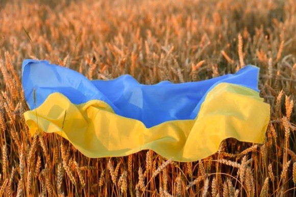 Ємен отримав 30 тис. тонн української пшениці фото, ілюстрація
