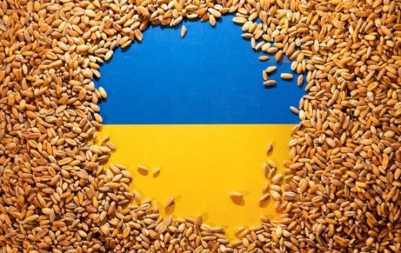 Україна в рамках ініціативи Grain from Ukraine готує відправлення до країн Африки ще 30 тис. тонн зерна фото, ілюстрація