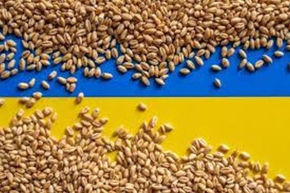 Обласні адміністрації зможуть передавати надлишкове зерно для гуманітарної програми «Grain from Ukraine» фото, ілюстрація