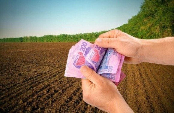Кабмін призначив профільне міністерство розпорядником бюджетних коштів на допомогу аграріям фото, ілюстрація