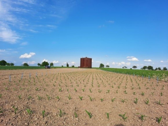 Corteva Agriscience розширила програму польових досліджень фото, ілюстрація