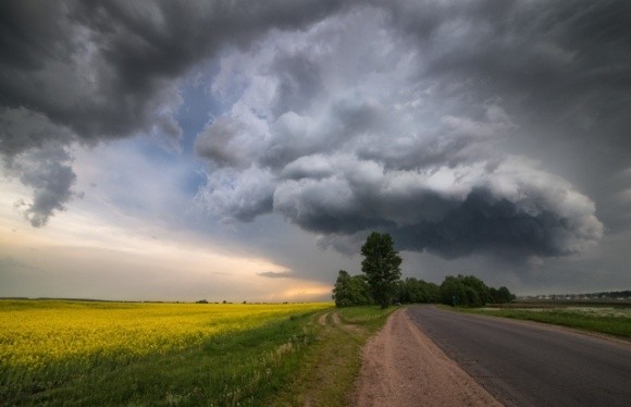 Посуха в Україні: травневі дощі покращать ситуацію з урожаєм  фото, ілюстрація