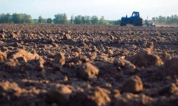 В Україні фіксується найкраще за 5 років зволоження ґрунту під сівбу озимих фото, ілюстрація