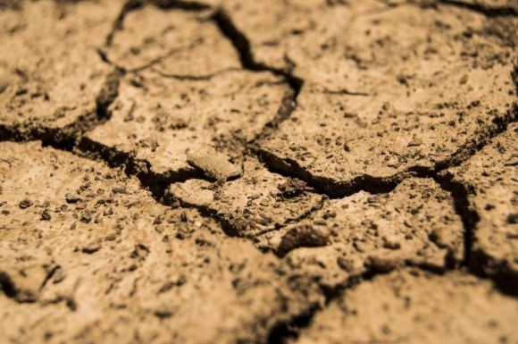 На Черкащині вперше за останні 10 років немає ґрунтової засухи фото, ілюстрація