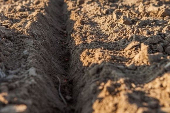 Більше половини площ охоплено ґрунтовою засухою – Укргідрометеоцентр фото, ілюстрація