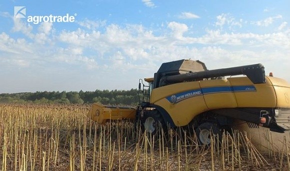 Група АГРОТРЕЙД розпочала жнива соняшнику фото, ілюстрація