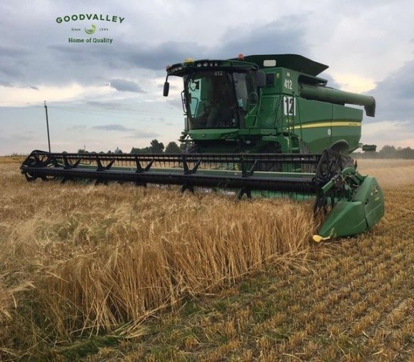 «Ґудвеллі Україна» встановила новий рекорд жнив: 7,9 тонни зерна з гектара фото, ілюстрація