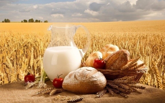 В Україні за перше півріччя виробництво сільгосппродукції скоротилося майже на 20%, — Мінекономіки фото, ілюстрація