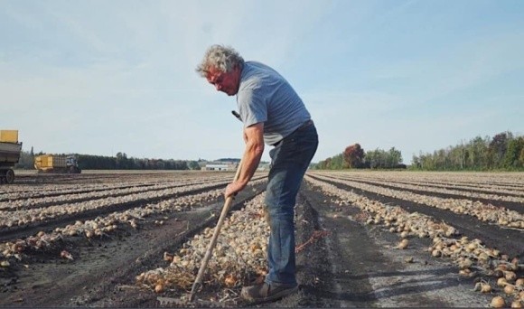 Канадський фермер-мільйонер Борис Городинський досі збирає врожаї власноруч фото, ілюстрація