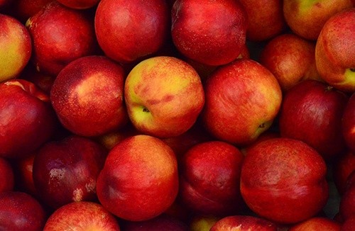 Близький Схід став найбільшим ринком збуту українських яблук навесні 2019 року фото, ілюстрація