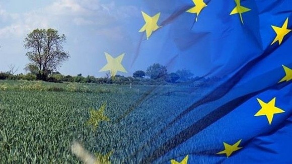 Інтеграція агросектору України в ринок ЄС потребуватиме реформи сільськогосподарської політики, – підсумки семінару фото, ілюстрація