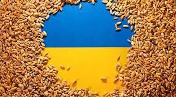 П'ять країн ЄС благають Єврокомісію врятувати їх від української агропродукції фото, ілюстрація