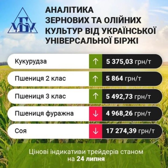 Цінові індикативи зернових та олійних за минулий тиждень фото, ілюстрація