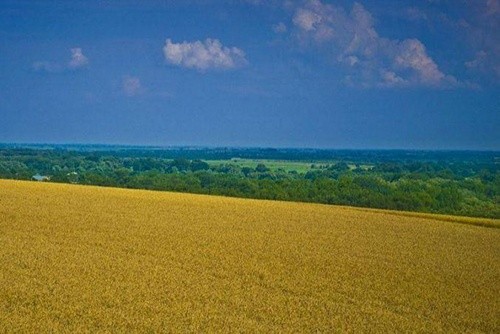 Через мораторій на купівлю-продаж землі Україна за рік втратила $22.5 млрд, — дослідження фото, ілюстрація