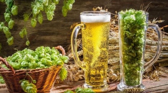 Виробництво пива і солоду в Україні зросло фото, ілюстрація