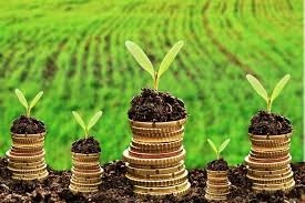  Окупність інвестицій в аграрний сектор  надзвичайно приваблива для інвесторів – Інститут аграрної економіки фото, ілюстрація
