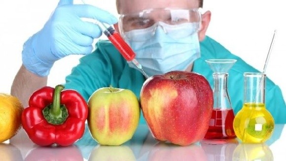 ЄЕК зобов'язала виробників маркувати продукцію з ГМО фото, ілюстрація