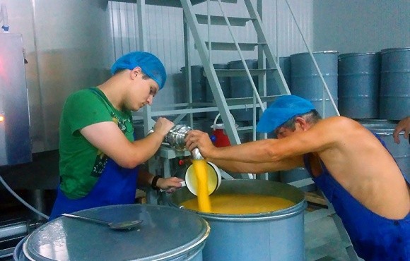 Кооперація пасічників зміцнить експорт українського меду — ФАО фото, ілюстрація