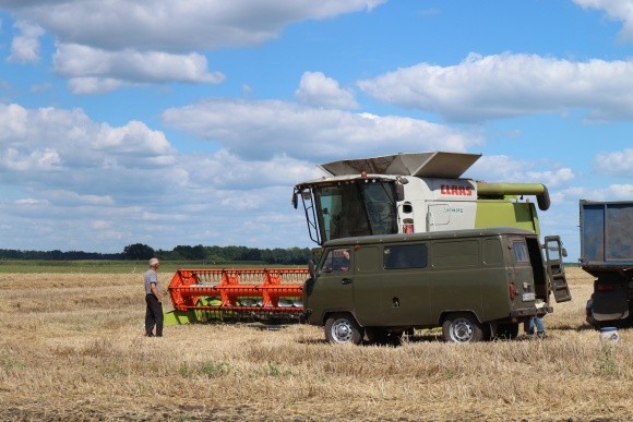 Частка фуражної пшениці в урожаї-2018 становить 40% фото, ілюстрація