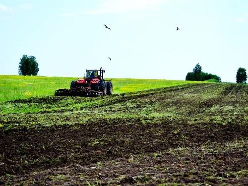 Аграрний потенціал України використовується не за призначенням, - економіст фото, ілюстрація