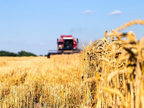 «Пора закінчити з дискримінацією сільгоспвиробників», - Всеукраїнський аграрний форум фото, ілюстрація