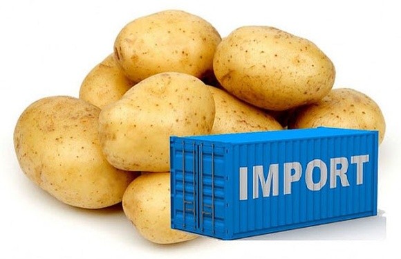 Україна почала імпортувати картоплю з Польщі, Литви та Латвії фото, ілюстрація
