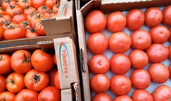 Ціни на помідори: збільшення поставок з Туреччини та зниження попиту фото, ілюстрація
