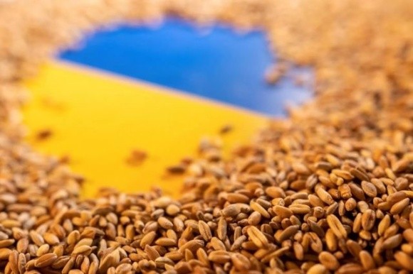 Три країни ЄС продовжили заборону на імпорт зерна з України фото, ілюстрація