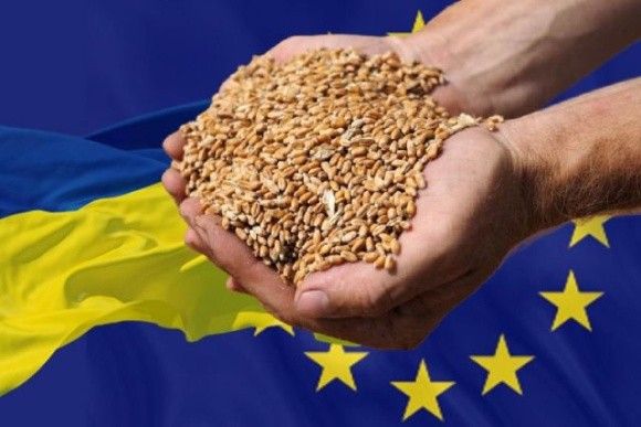 Польща сподівається, що заборона на імпорт зерна з України буде продовжена, – єврокомісар фото, ілюстрація